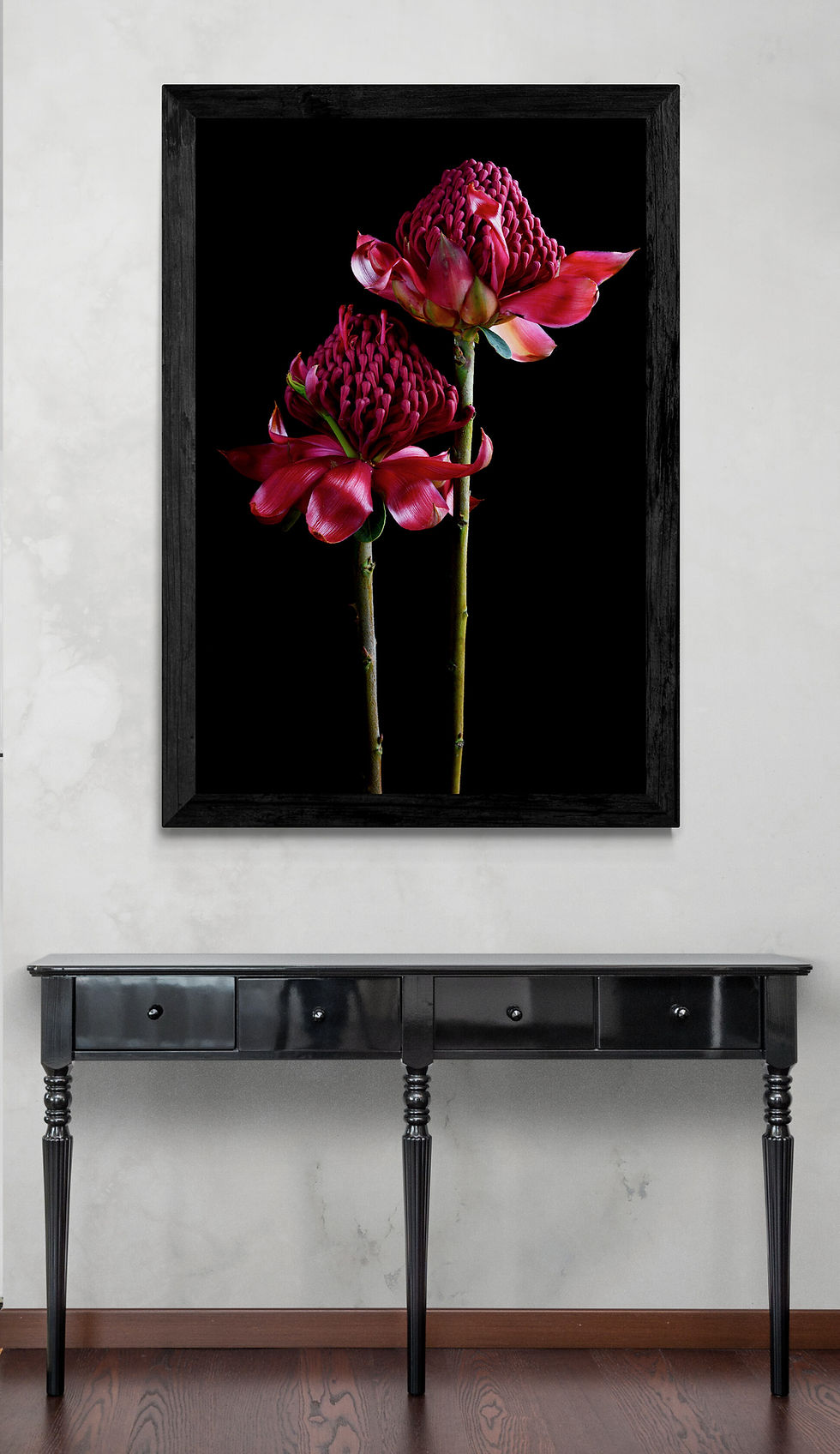 Red Waratah Flowers - Australian floral photography print - Still life artwork by Nadia Culph