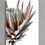 Thumbnail: King Protea ~ Macro Photography Flower Print - Nature photography wall art by Nadia Culph