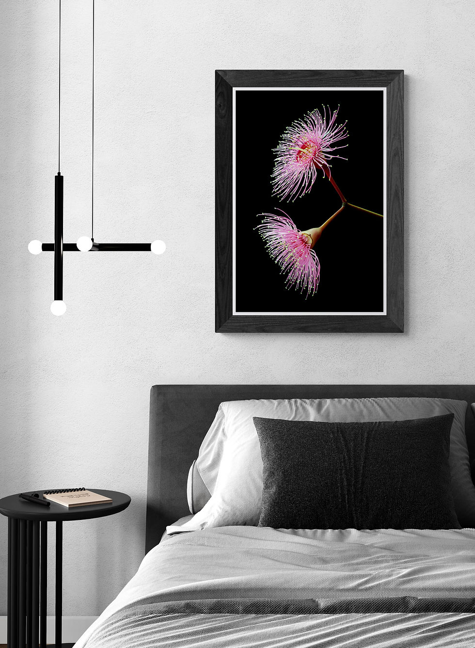 Thumbnail: Pink Eucalyptus Ficifolia - Australian floral photography print - Macro Nature artwork by Nadia Culph