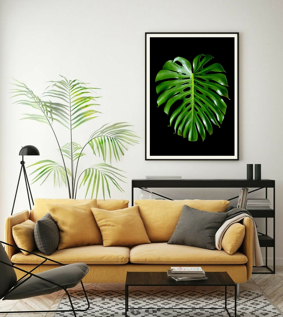 Monstera Leaf ~ Tropical Plant Photography Print - Botanical wall art by Nadia Culph
