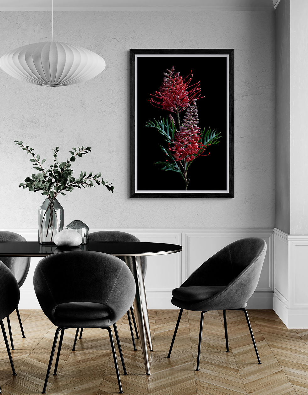 Thumbnail: Red Robyn Gordon Grevillea - Australian native flower artwork - floral still life photography print by Nadia Culph