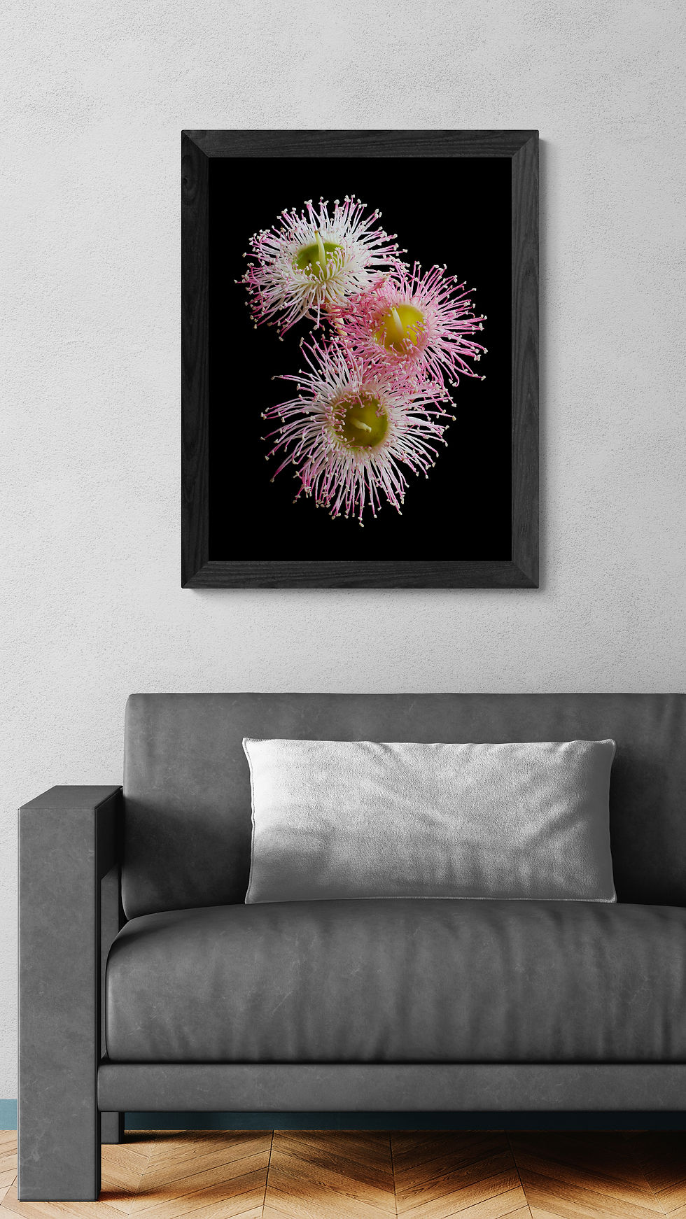 Thumbnail: Summer Beauty Blossoms photography print - Australian botanical wall art (Digital Download)