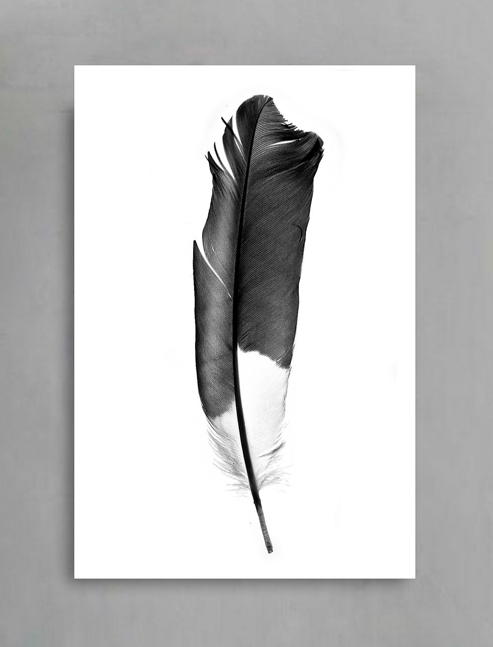 Thumbnail: Feather Printable 6 Set ~ Downloadable Gallery Wall Prints ~ Black & White Home Decor ~ Minimalist Photography by Nadia Culph