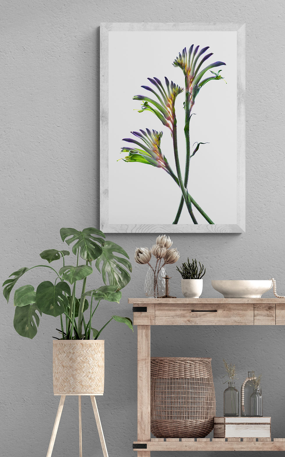 Masquerade Kangaroo Paws - Australian Nature Photography Print - Botanical Wall Art by Nadia Culph