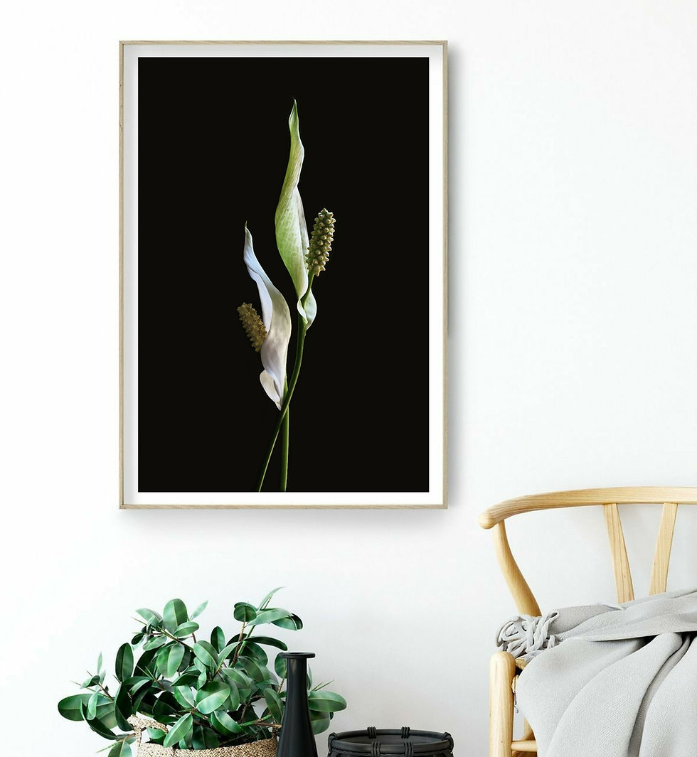 Peace Lilies ~ Dark and Moody Floral Wall Art - Botanical photography by Nadia Culph