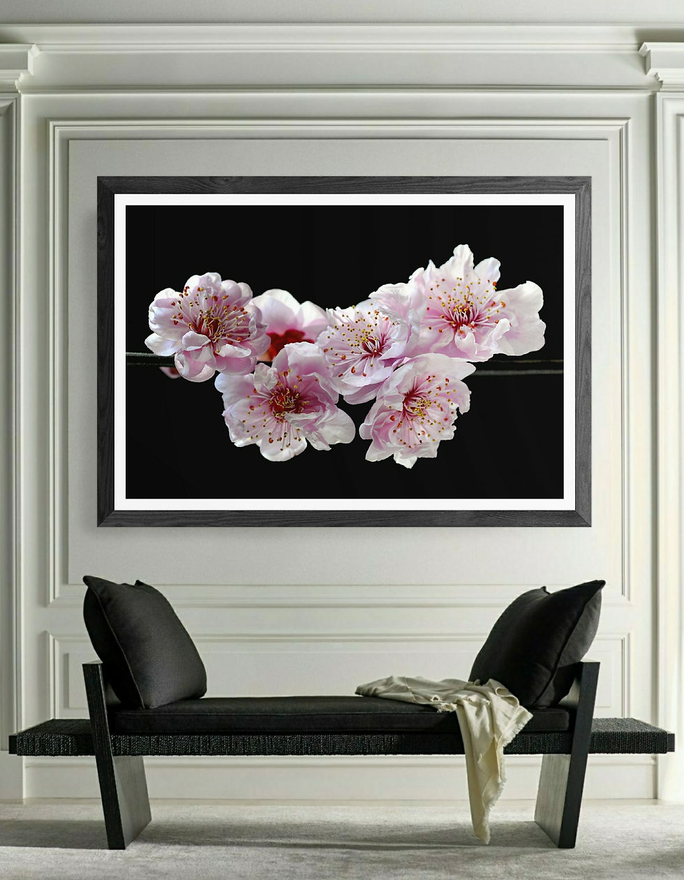 Spring Blossoms ~ Pink Floral Wall Art ~ Fine Art Photography by Nadia Culph