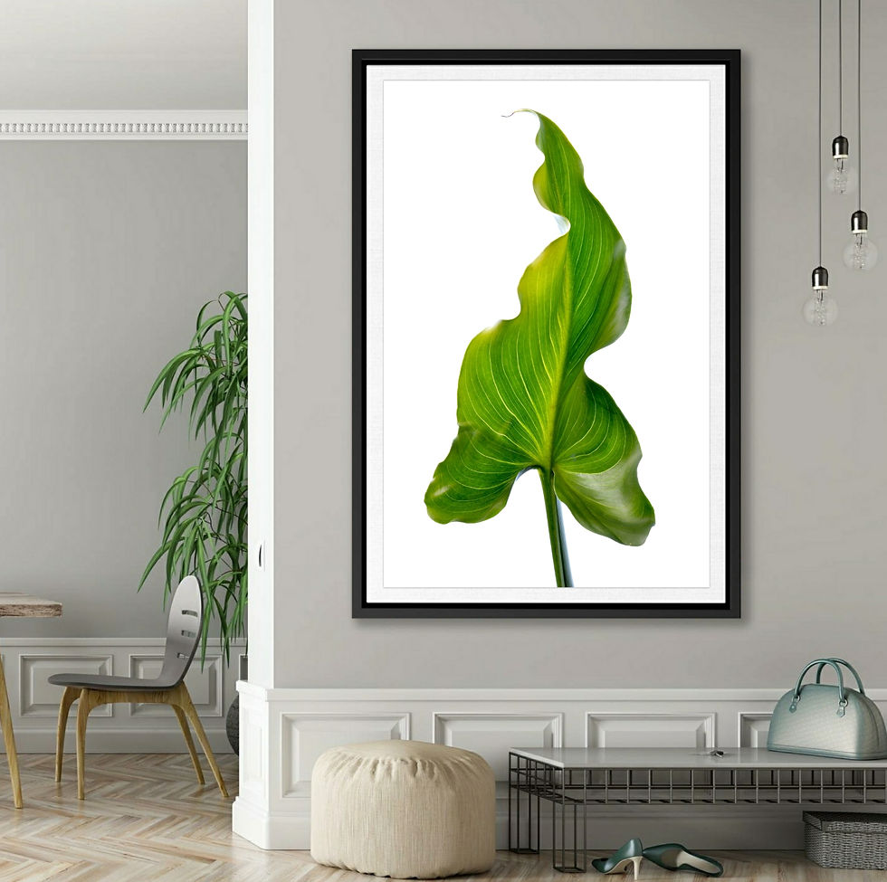 Lily Leaf in Colour ~ Leaf Photography Print - Green botanical wall art by Nadia Culph
