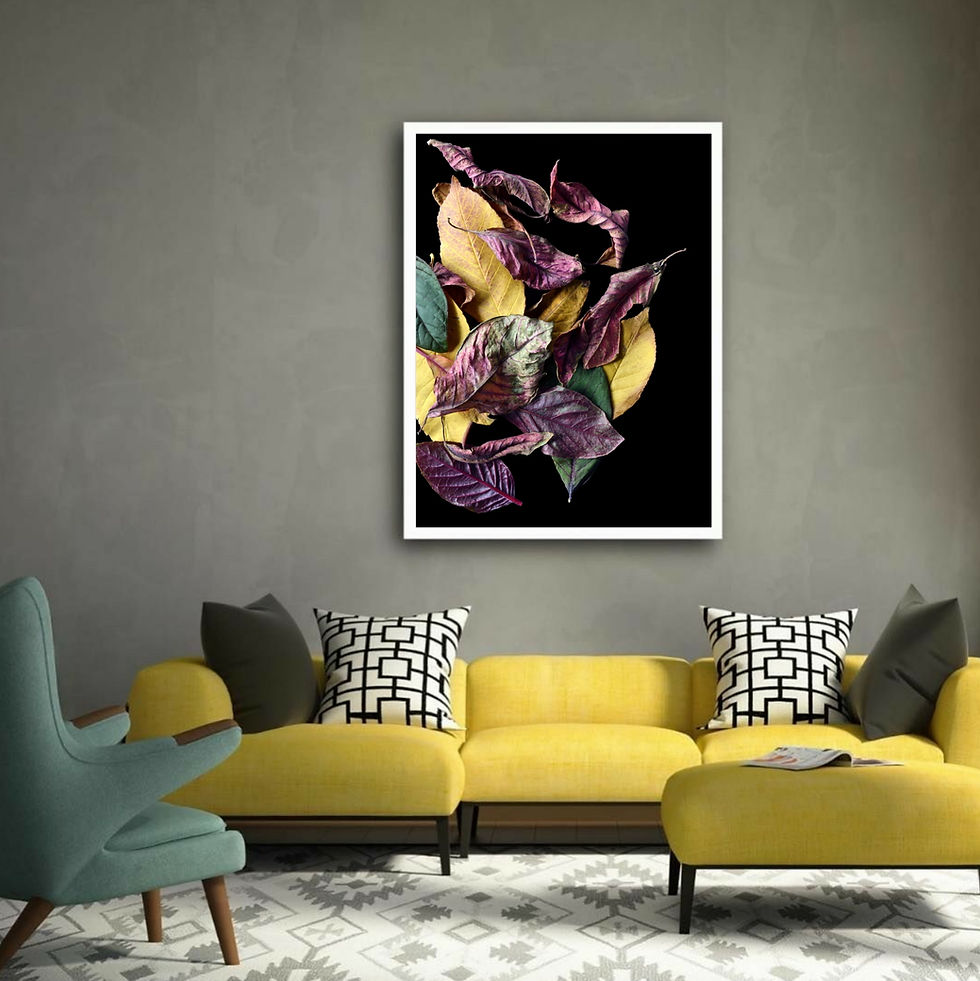 Colours Of Autumn ~ Colourful botanical Wall Art - Photography print by Nadia Culph