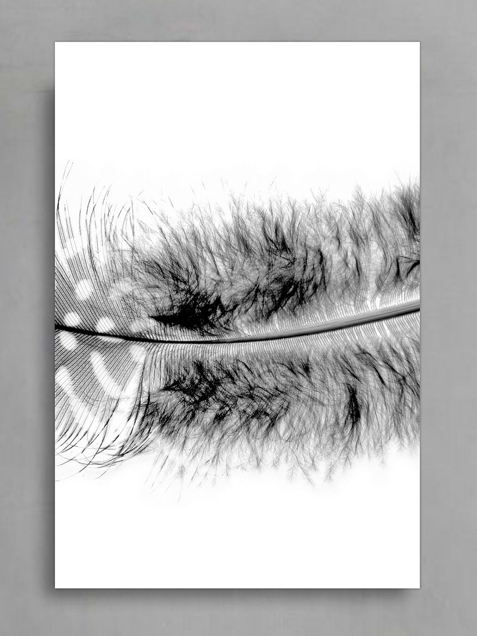 Thumbnail: Black And White Spotted Feather Triptych ~ Printable Set of 3 Feather Artworks ~ Digital Download  Nadia Culph therandomimage