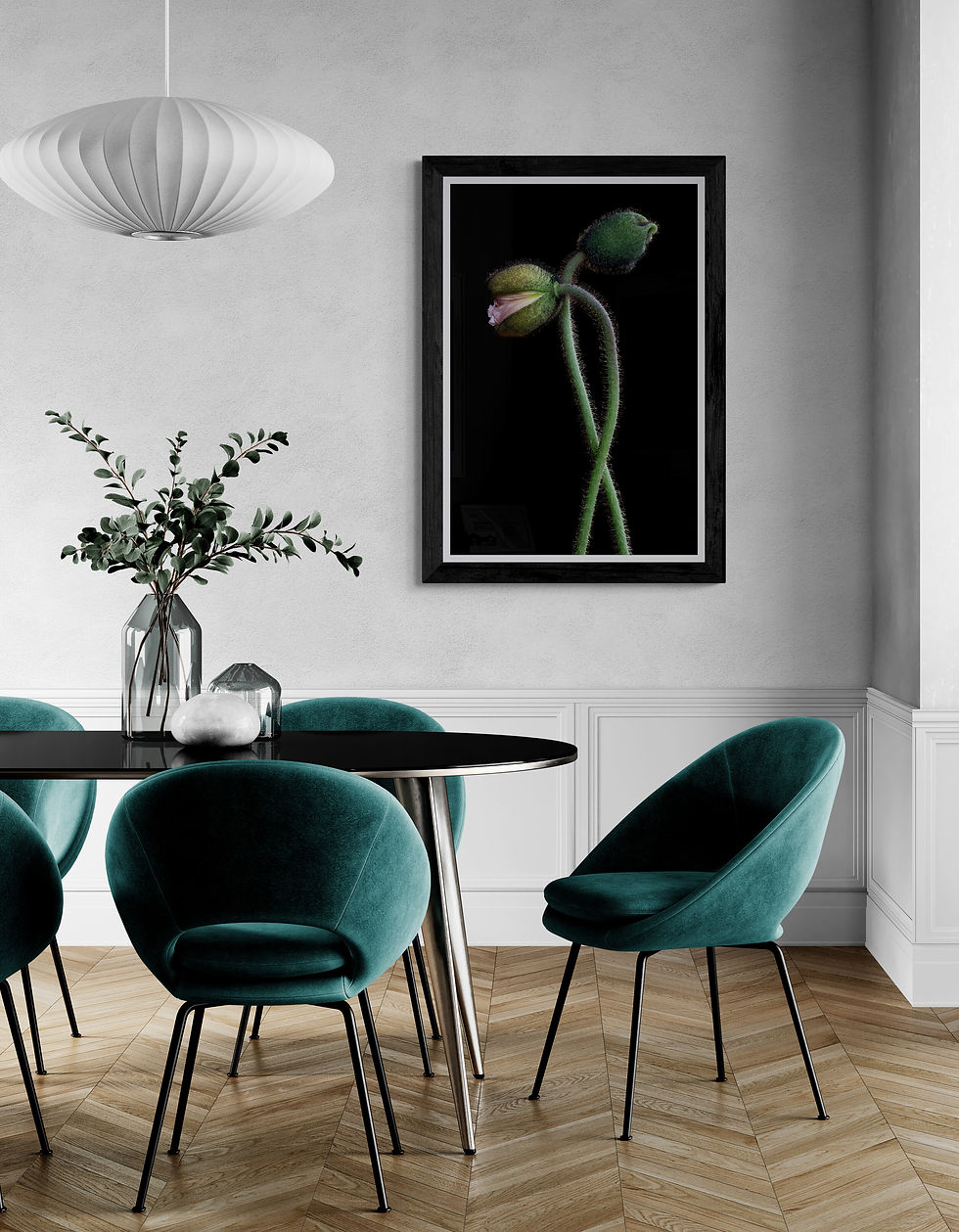 Two Poppies - Macro botanical art print - Green and black wall art - Nature photography by Nadia Culph