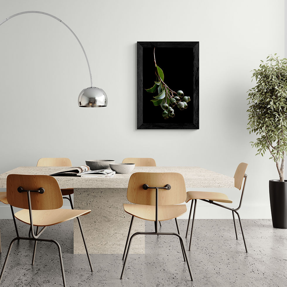 Thumbnail: Gum Nuts Stem - Australian botanical still life artwork - Green and black nature wall art - photography print by Nadia Culph