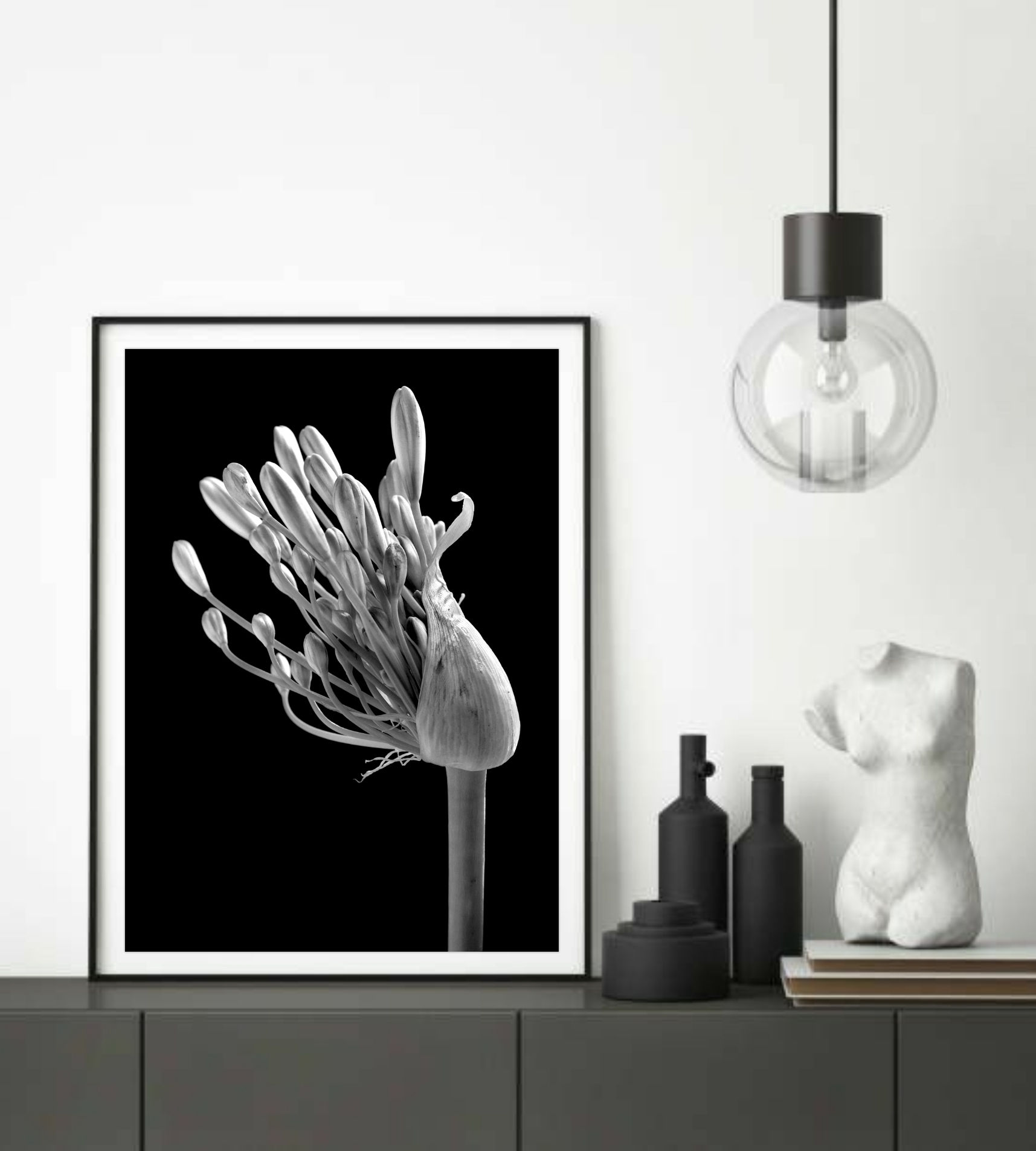 Black & White Agapanthus ~ Macro Botanical Print ~ Fine Art Photography by Nadia Culph