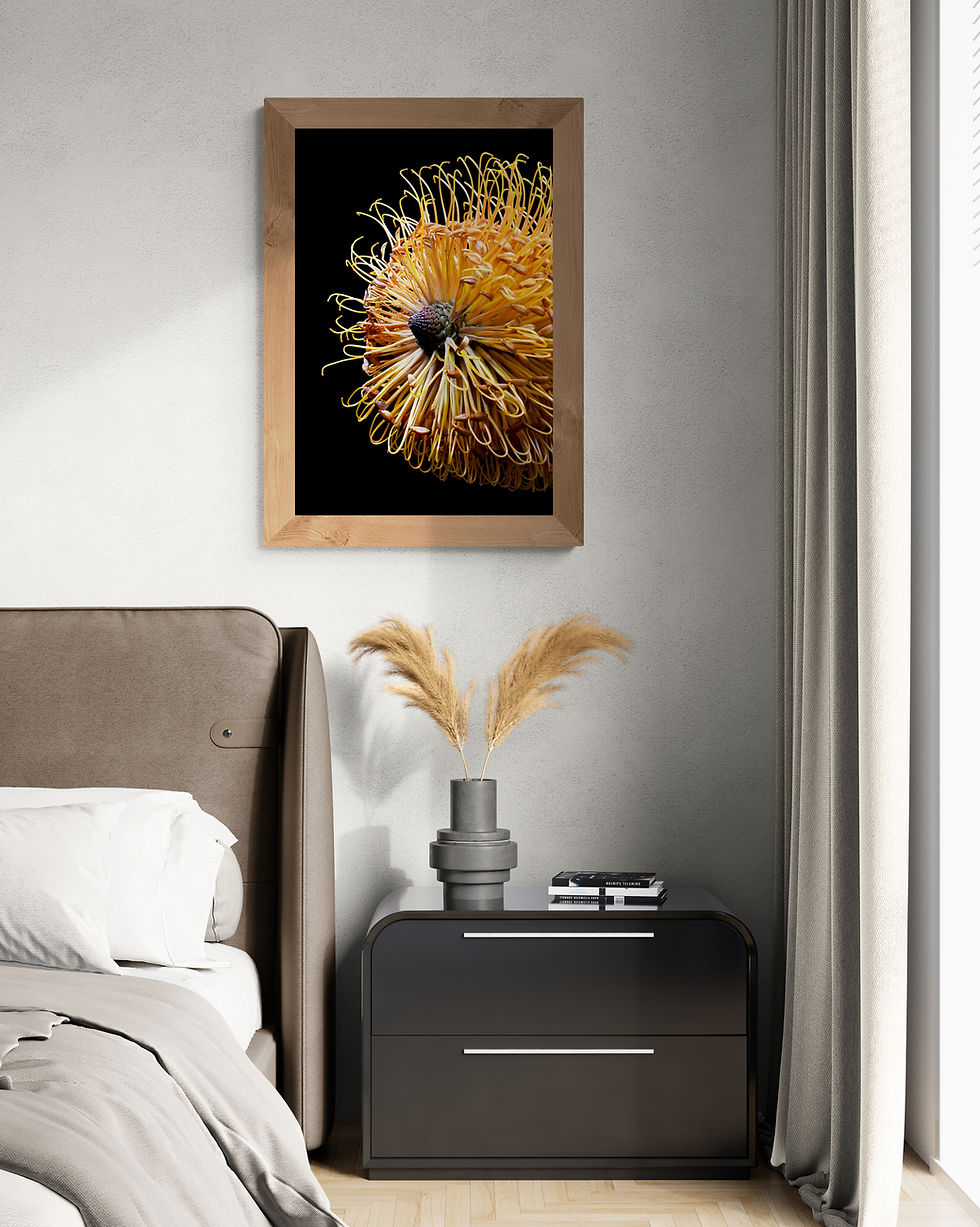 Thumbnail: Banksia Macro Print - Australian botanical wall art print - Flower still life photography by Nadia Culph