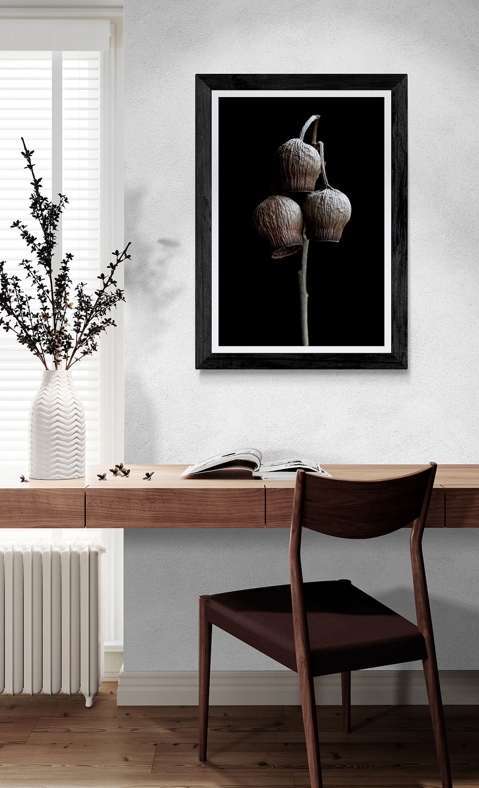 Gum Nuts - Australian botanical wall art print - photography by Nadia Culph