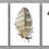 Thumbnail: Feathers On White Triptych ~ Set of Feather Prints - Wall art by Nadia Culph
