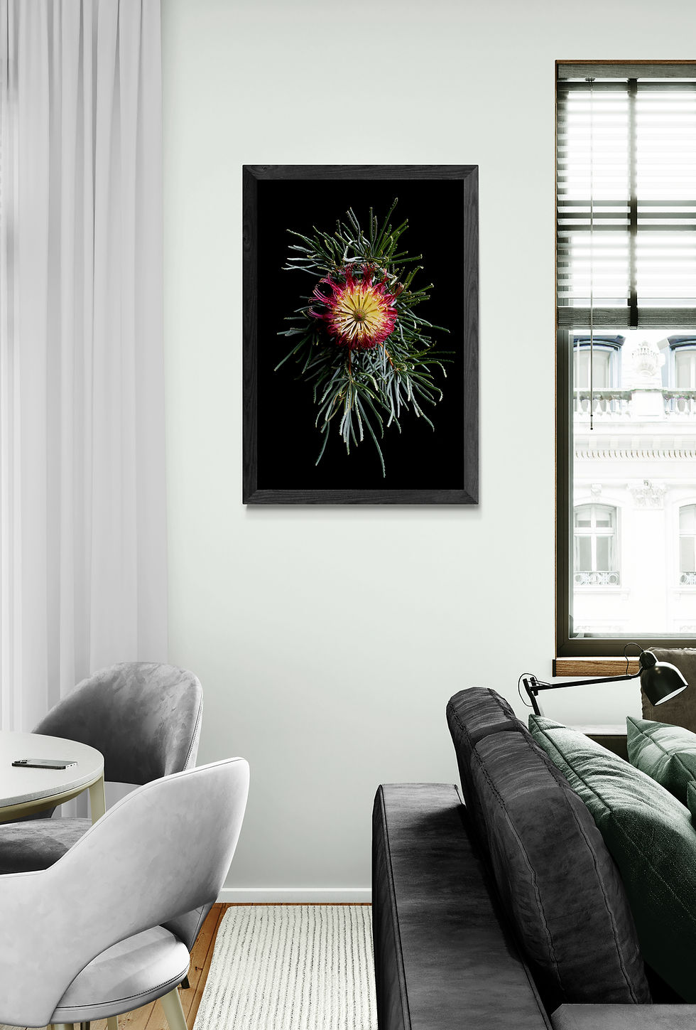 Thumbnail: Red Swamp Banksia - Australian botanical wall art - Nature photography print by Nadia Culph