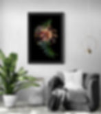 Grevillea Superb print - Colourful botanical wall art - Floral still life artwork - Photography by Nadia Culph