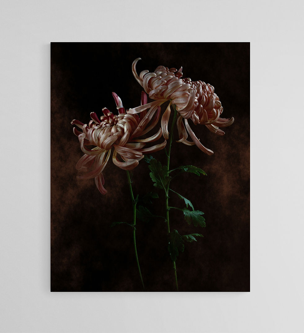 Vienna Copper Chrysanthemums - Dark floral wall art print - Still life flowers photography by Nadia Culph