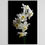 Thumbnail: Jonquils - White floral wall art - Flower photography print by Nadia Culph