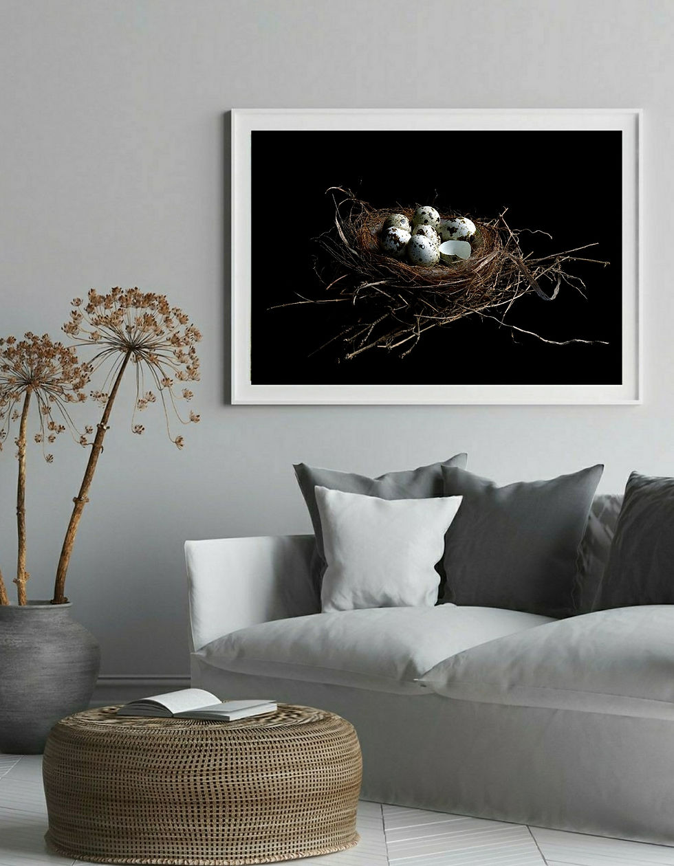 Leaving the Nest ~ Quail eggs in a nest Fine art photography print by Nadia Culph therandomimage.com