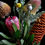 Thumbnail: Banksia, Beehive and a Billy Button ~ Floral Wall Art ~ Photography Print by Nadia Culph therandomimage.com