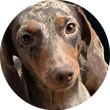 Kalea_rond.png