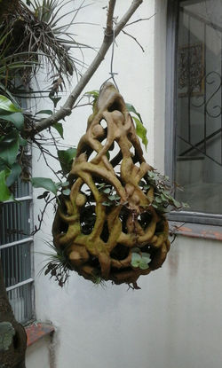 994787c3-d174-4114-a613-5cac67cf58d8