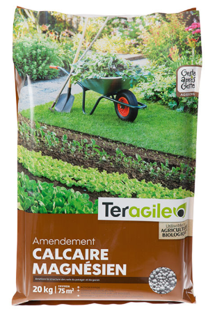 Le réveil du potager : préparer sa terre pour une saison pleine de saveurs 