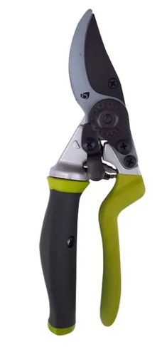 Les Vivaces Rustiques : Les Héroïnes Silencieuses de Nos Jardins  - Sécateur TERAGILE