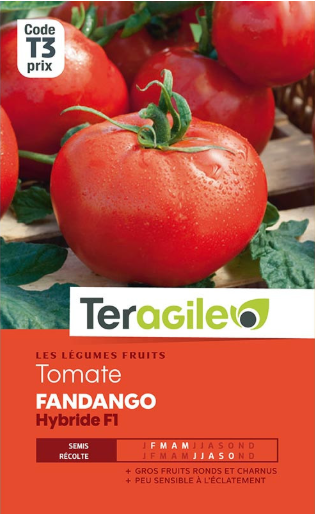 Réussir ses semis de tomates à l'abri dans les Vosges et en Haute Saône - Guide complet 2026