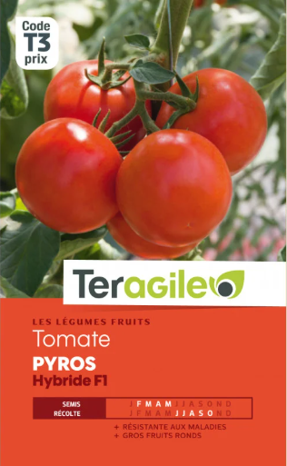 Réussir ses semis de tomates à l'abri dans les Vosges et en Haute Saône - Guide complet 2026