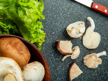 Les Champignons Comestibles : Guide de Récolte pour l'Automne