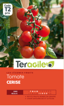 Réussir ses semis de tomates à l'abri dans les Vosges et en Haute Saône - Guide complet 2026