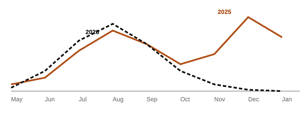 The shape of two Australian seasons, drawn schematically from national surveillance reporting. The height of each line is not a case count; what matters is the timing. In 2025 the season refused to end, rising again in October and cresting the week before Christmas. In 2026 it rose from June, peaked in August, and fell.