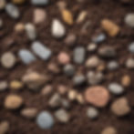 soils, mulch, stones.jpg