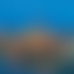 默默耕耘 夢想成真！：《五十年後》節錄