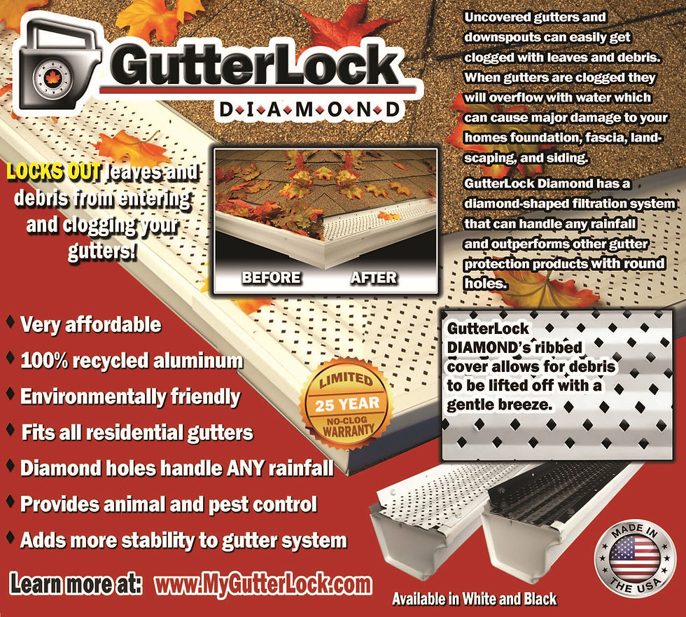 Miniatura: GutterLock Diamond gutter guard features: keeps out leaves, 100% recycled aluminum, white and black options