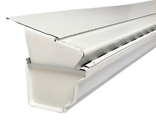 818937 transparent back.png