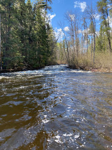 Canadian wilderness trips