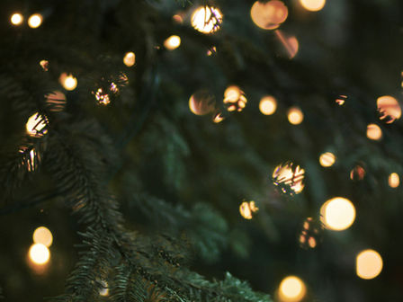 Alle Jahre wieder... Weihnachtsstress!
