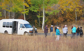 Guests viewing wildlife outside of the tour van in Grand Teton