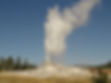 yellowstonedaytours.com-geyser.jpg