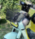 S__221593651