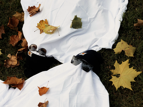 Have a spook-tacular Halloween! | 2023