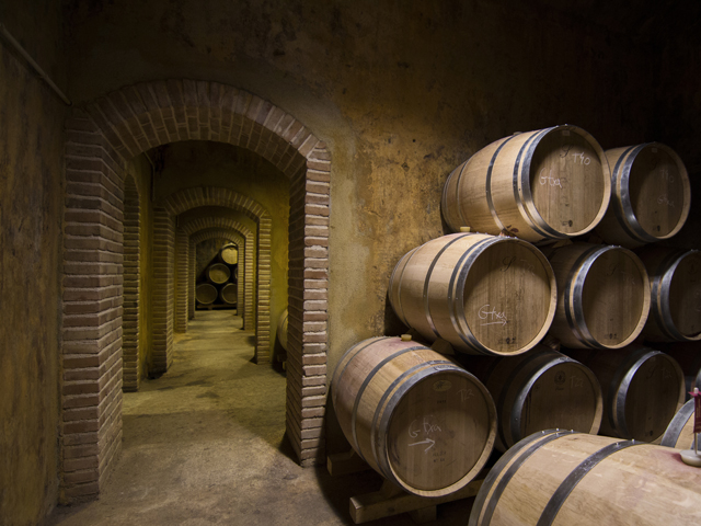 Catalonia Wine Cellar | Coca i Fito Wines and Winemakers