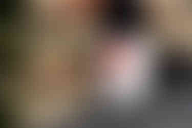 Catalonia Wine Region | Jjaspi Negre