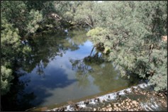 The Murray River at Pinjarra