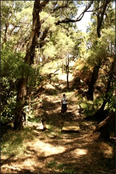 Track down to the river, 2010