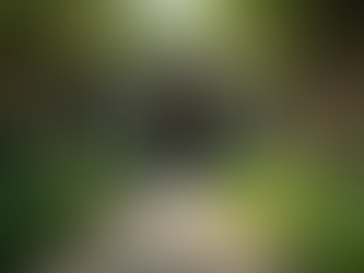 ¿Qué es el budismo y cómo puede ayudarte en tu vida diaria?