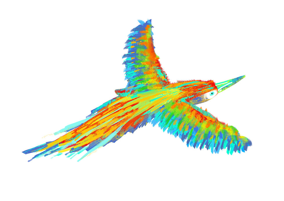 Thumbnail: Heaven bird / ציפור גן-עדן